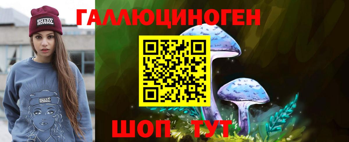 купить наркоту  Псилоцибиновые грибы ЛСД  Галлюциногенные грибы Psilocybe  Вход с VPN  Кириши 
