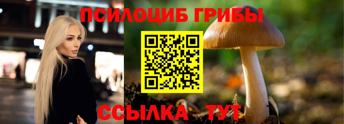 Псилоцибиновые грибы MAGIC MUSHROOMS Кириши